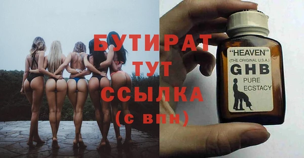 прущие грибы Горно-Алтайск