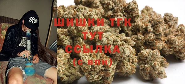 тгк Горняк