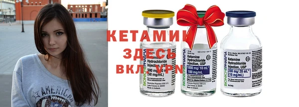 прущие грибы Горно-Алтайск