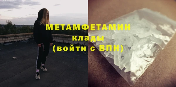 прущие грибы Горно-Алтайск