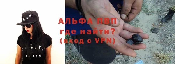 прущие грибы Горно-Алтайск