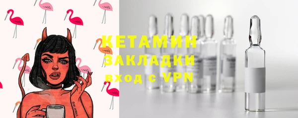 прущие грибы Горно-Алтайск