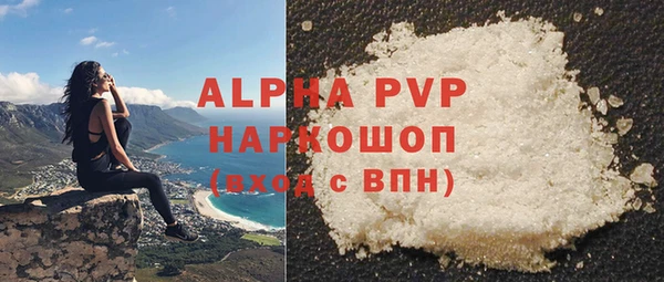 прущие грибы Горно-Алтайск