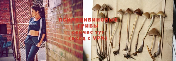 spice Гусев