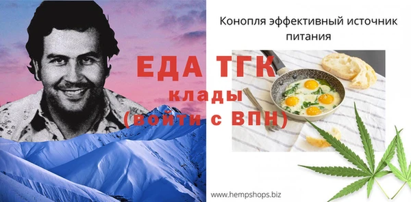 прущие грибы Горно-Алтайск