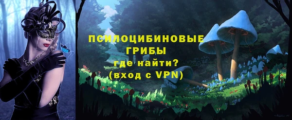 тгк Горняк